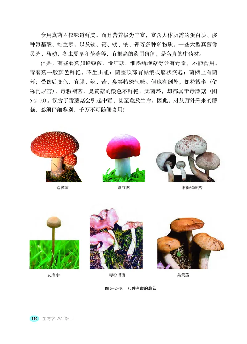 冀少版8年级生物上册高清教材_4-教培资料-26年最新资料-同步更新_初中高中教资_03科三专项（进去保存报考的学科即可）_02科三专项（笔记真题思维导图教学设计版本二）