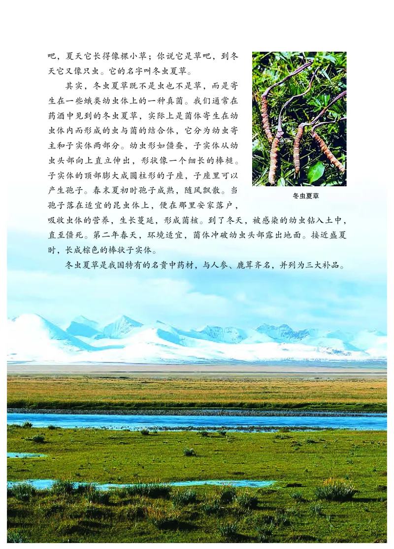 冀少版8年级生物上册高清教材_4-教培资料-26年最新资料-同步更新_初中高中教资_03科三专项（进去保存报考的学科即可）_02科三专项（笔记真题思维导图教学设计版本二）