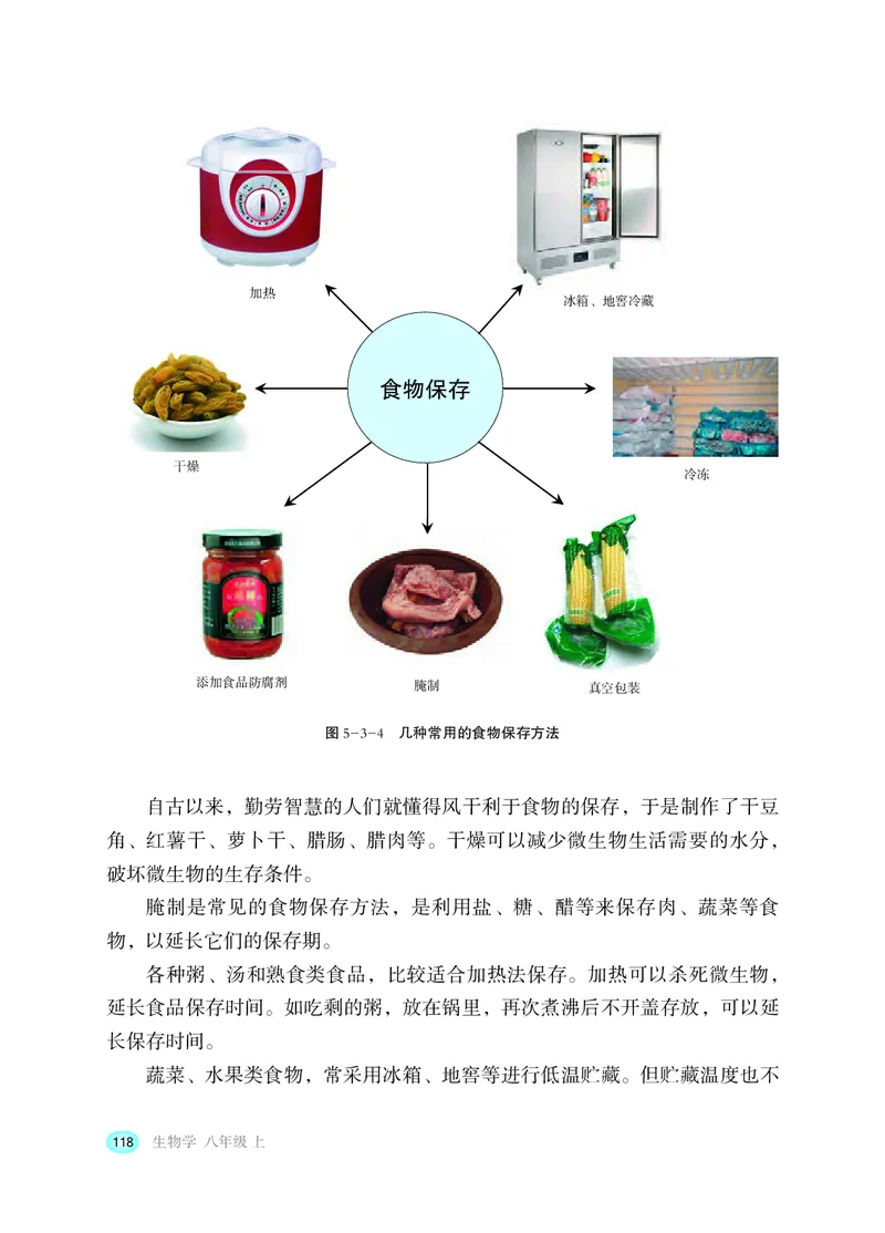 冀少版8年级生物上册高清教材_4-教培资料-26年最新资料-同步更新_初中高中教资_03科三专项（进去保存报考的学科即可）_02科三专项（笔记真题思维导图教学设计版本二）