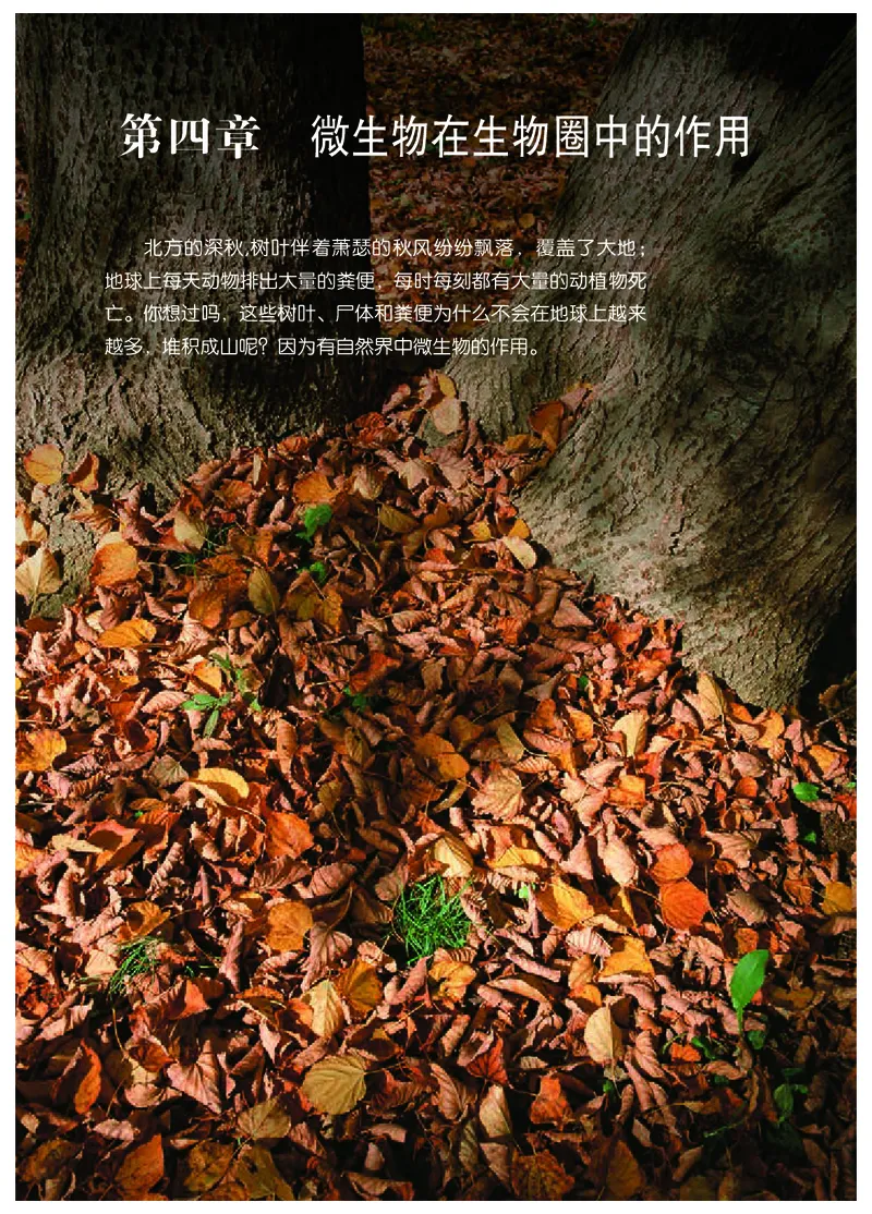 冀少版8年级生物上册高清教材_4-教培资料-26年最新资料-同步更新_初中高中教资_03科三专项（进去保存报考的学科即可）_02科三专项（笔记真题思维导图教学设计版本二）