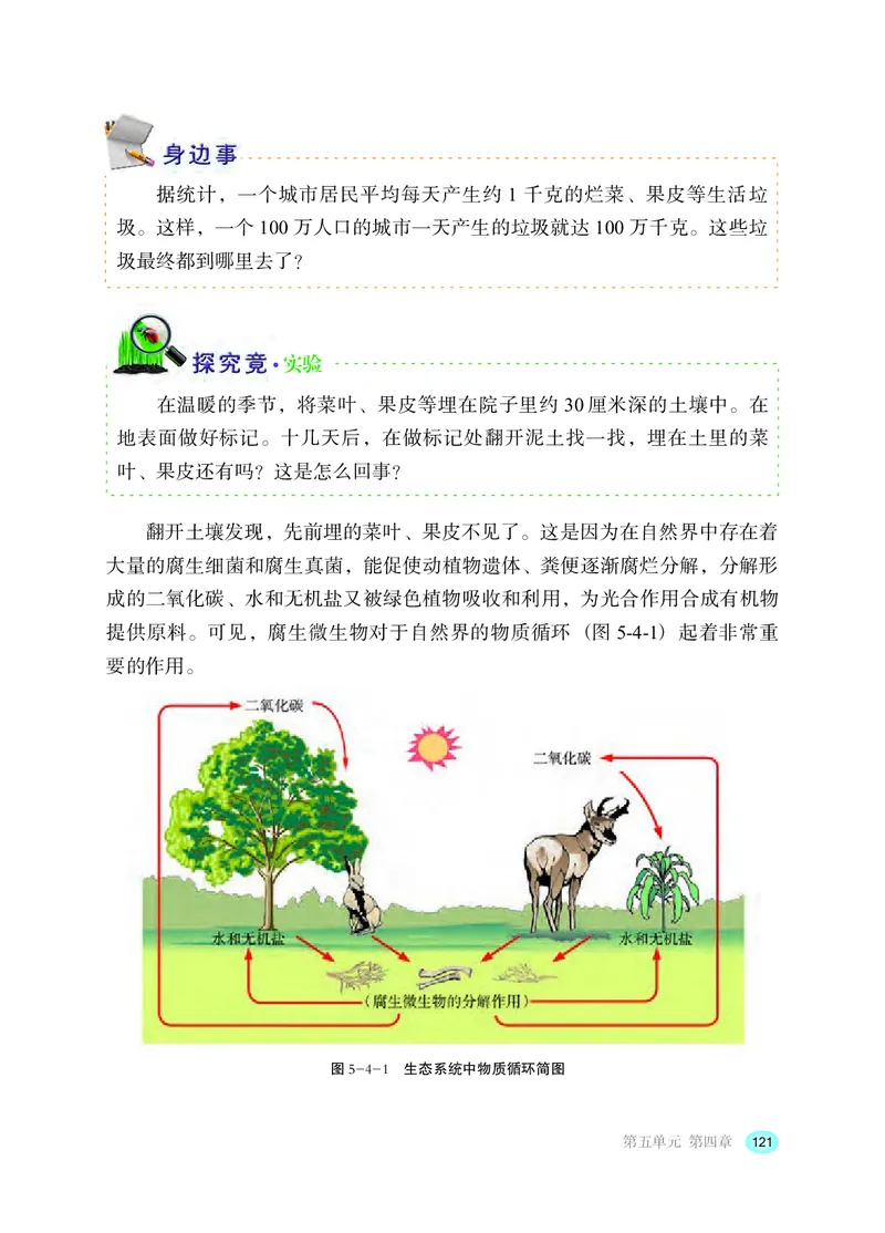 冀少版8年级生物上册高清教材_4-教培资料-26年最新资料-同步更新_初中高中教资_03科三专项（进去保存报考的学科即可）_02科三专项（笔记真题思维导图教学设计版本二）