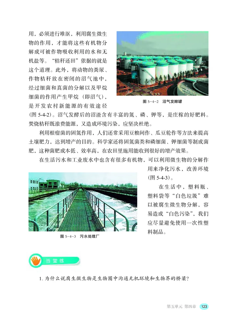 冀少版8年级生物上册高清教材_4-教培资料-26年最新资料-同步更新_初中高中教资_03科三专项（进去保存报考的学科即可）_02科三专项（笔记真题思维导图教学设计版本二）