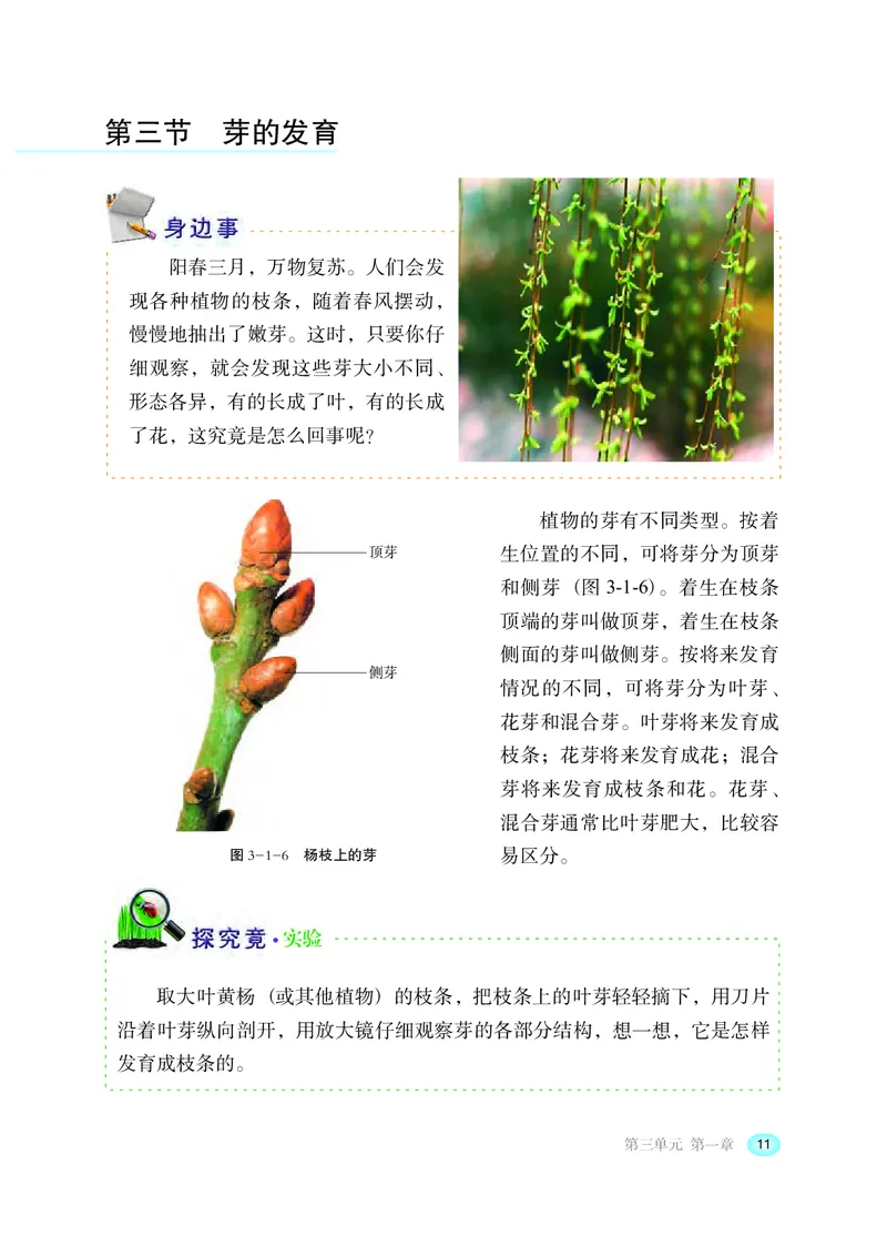 冀少版8年级生物上册高清教材_4-教培资料-26年最新资料-同步更新_初中高中教资_03科三专项（进去保存报考的学科即可）_02科三专项（笔记真题思维导图教学设计版本二）