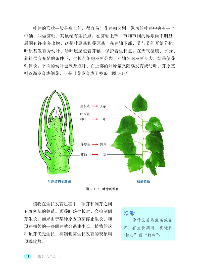 冀少版8年级生物上册高清教材_4-教培资料-26年最新资料-同步更新_初中高中教资_03科三专项（进去保存报考的学科即可）_02科三专项（笔记真题思维导图教学设计版本二）