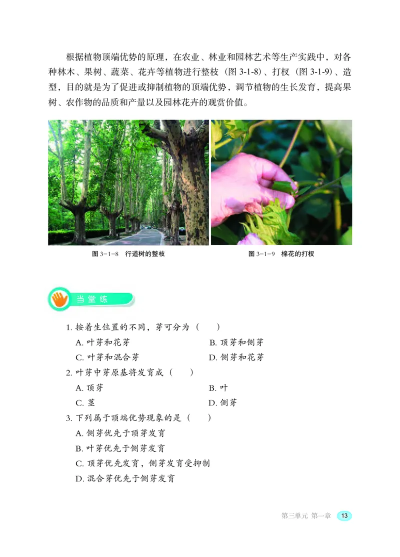 冀少版8年级生物上册高清教材_4-教培资料-26年最新资料-同步更新_初中高中教资_03科三专项（进去保存报考的学科即可）_02科三专项（笔记真题思维导图教学设计版本二）