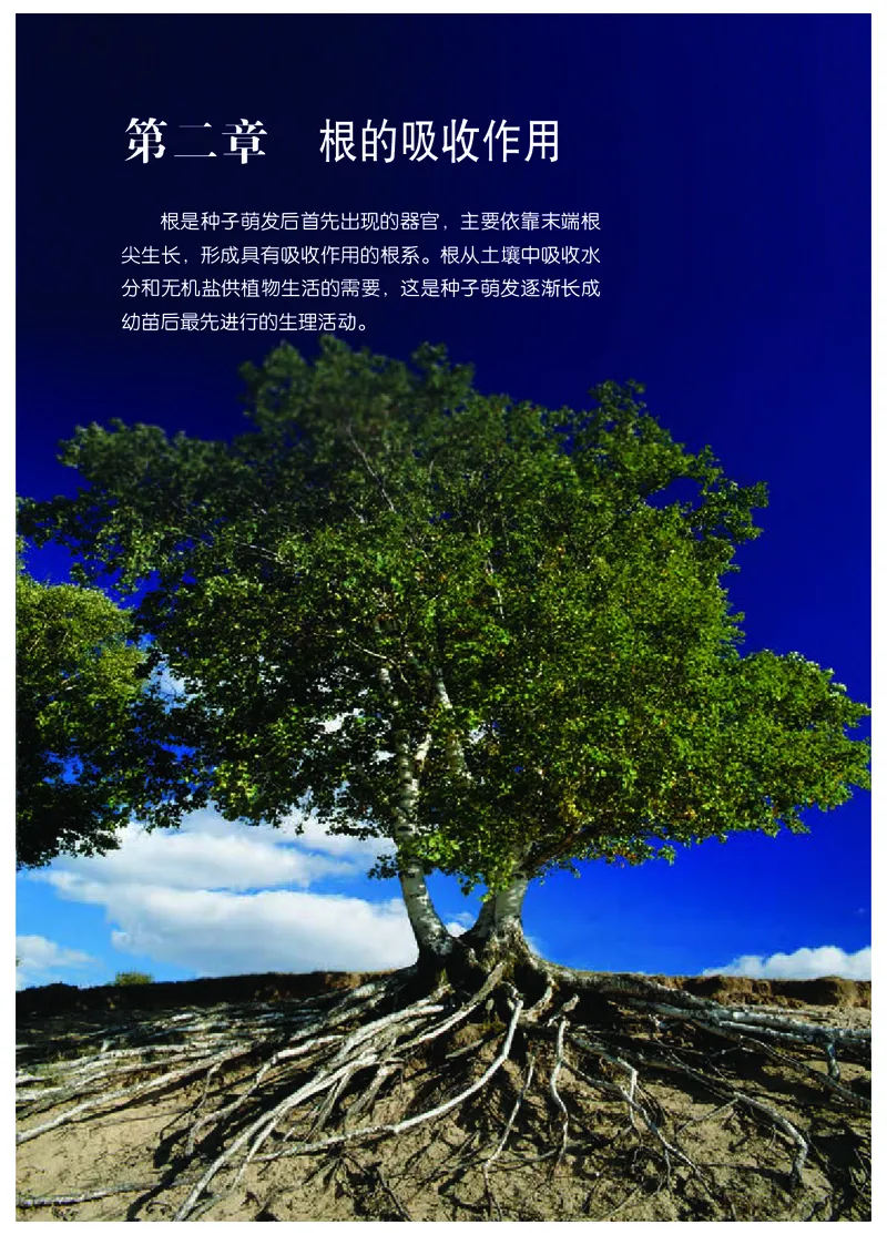 冀少版8年级生物上册高清教材_4-教培资料-26年最新资料-同步更新_初中高中教资_03科三专项（进去保存报考的学科即可）_02科三专项（笔记真题思维导图教学设计版本二）