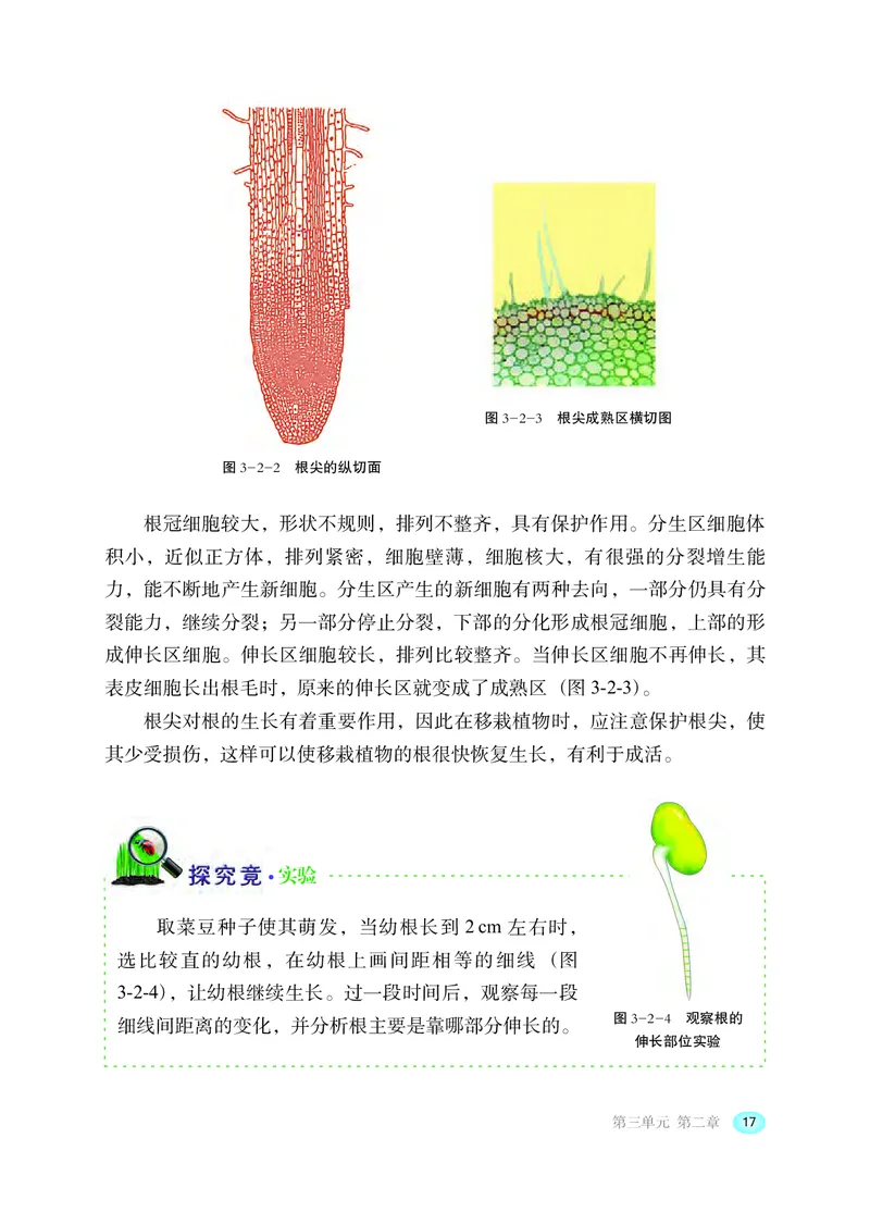 冀少版8年级生物上册高清教材_4-教培资料-26年最新资料-同步更新_初中高中教资_03科三专项（进去保存报考的学科即可）_02科三专项（笔记真题思维导图教学设计版本二）