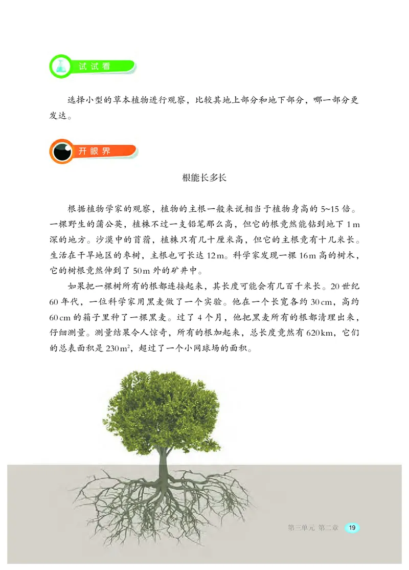 冀少版8年级生物上册高清教材_4-教培资料-26年最新资料-同步更新_初中高中教资_03科三专项（进去保存报考的学科即可）_02科三专项（笔记真题思维导图教学设计版本二）