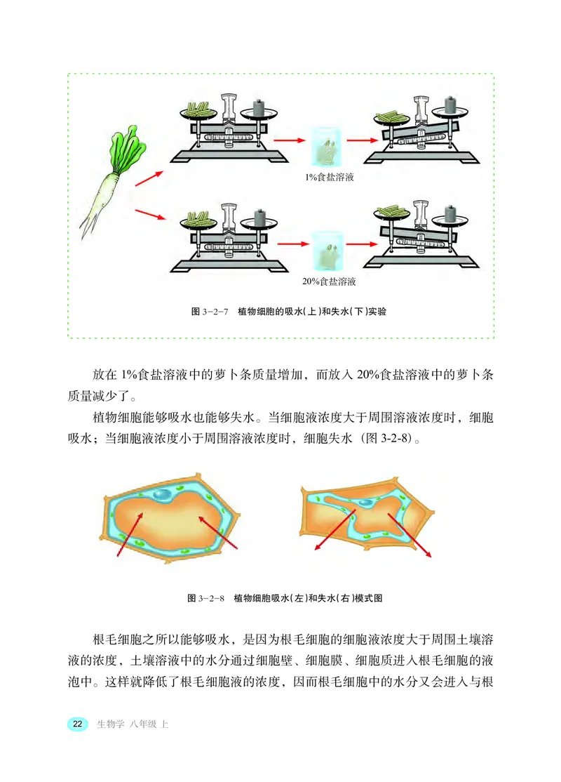 冀少版8年级生物上册高清教材_4-教培资料-26年最新资料-同步更新_初中高中教资_03科三专项（进去保存报考的学科即可）_02科三专项（笔记真题思维导图教学设计版本二）