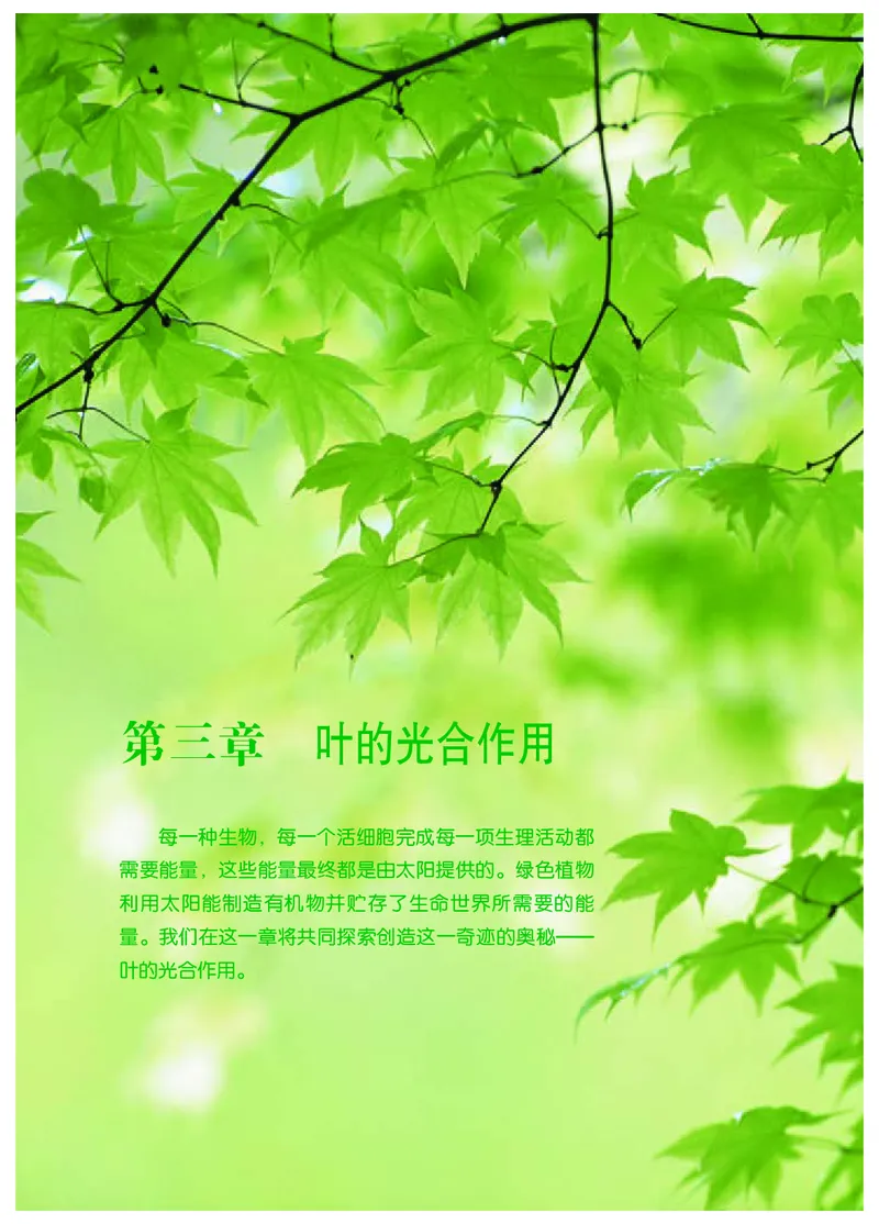 冀少版8年级生物上册高清教材_4-教培资料-26年最新资料-同步更新_初中高中教资_03科三专项（进去保存报考的学科即可）_02科三专项（笔记真题思维导图教学设计版本二）