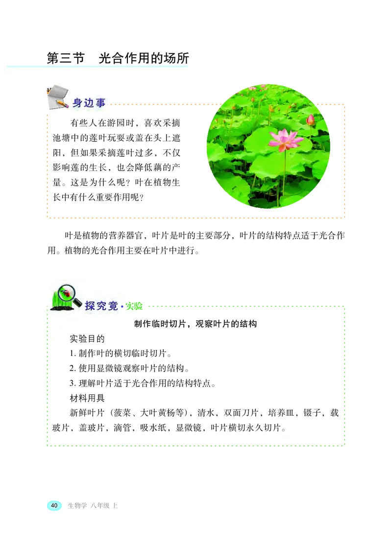 冀少版8年级生物上册高清教材_4-教培资料-26年最新资料-同步更新_初中高中教资_03科三专项（进去保存报考的学科即可）_02科三专项（笔记真题思维导图教学设计版本二）