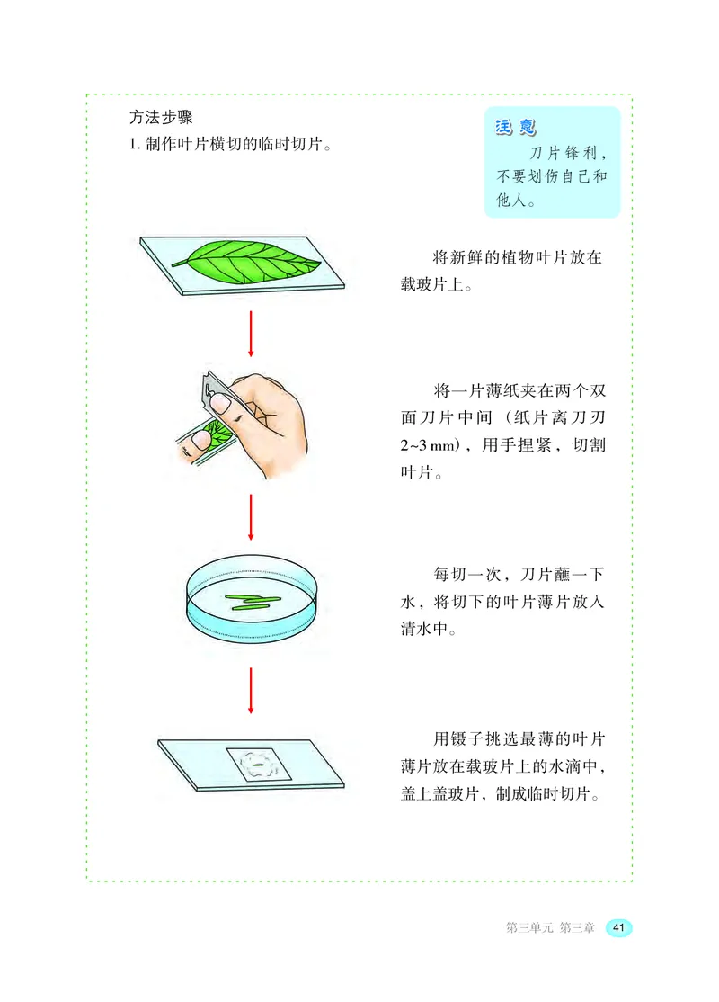 冀少版8年级生物上册高清教材_4-教培资料-26年最新资料-同步更新_初中高中教资_03科三专项（进去保存报考的学科即可）_02科三专项（笔记真题思维导图教学设计版本二）