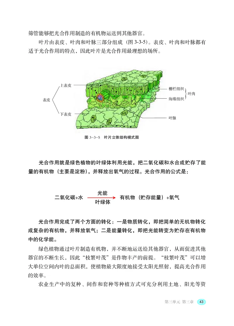 冀少版8年级生物上册高清教材_4-教培资料-26年最新资料-同步更新_初中高中教资_03科三专项（进去保存报考的学科即可）_02科三专项（笔记真题思维导图教学设计版本二）
