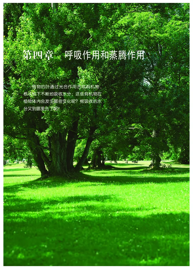 冀少版8年级生物上册高清教材_4-教培资料-26年最新资料-同步更新_初中高中教资_03科三专项（进去保存报考的学科即可）_02科三专项（笔记真题思维导图教学设计版本二）