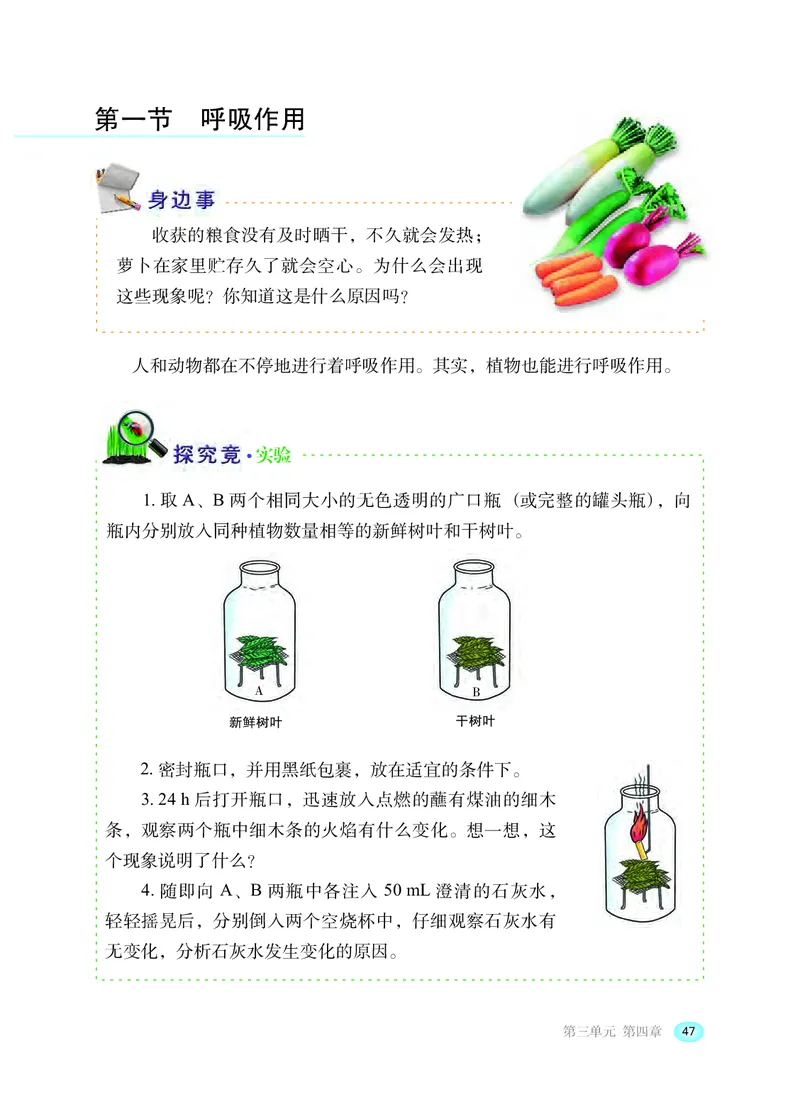 冀少版8年级生物上册高清教材_4-教培资料-26年最新资料-同步更新_初中高中教资_03科三专项（进去保存报考的学科即可）_02科三专项（笔记真题思维导图教学设计版本二）