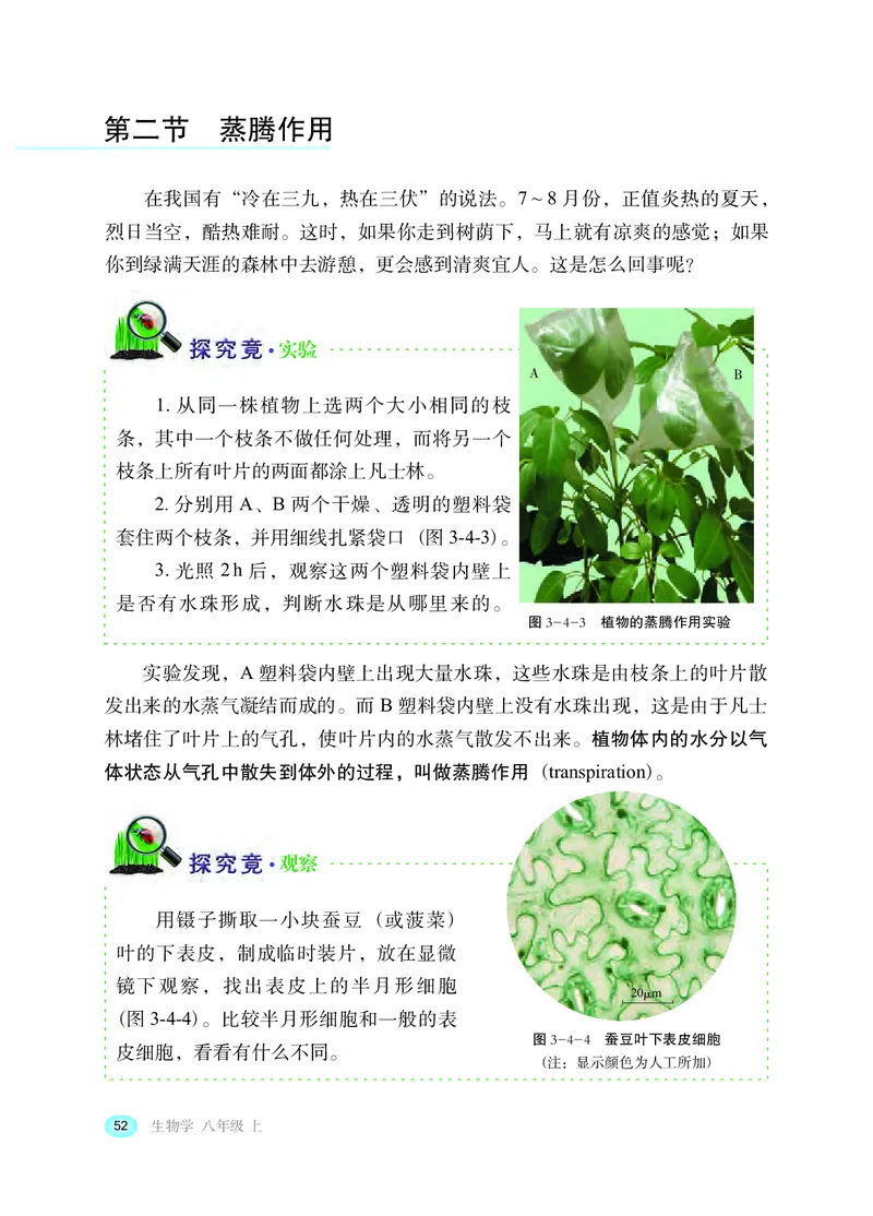 冀少版8年级生物上册高清教材_4-教培资料-26年最新资料-同步更新_初中高中教资_03科三专项（进去保存报考的学科即可）_02科三专项（笔记真题思维导图教学设计版本二）