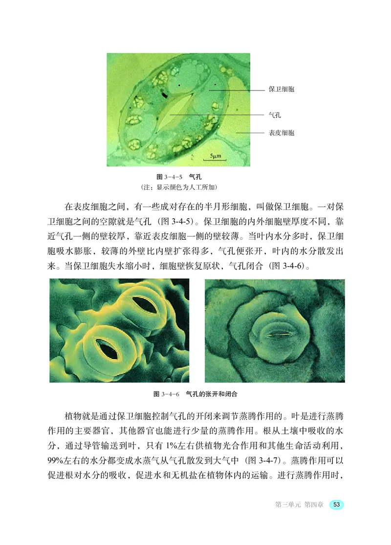 冀少版8年级生物上册高清教材_4-教培资料-26年最新资料-同步更新_初中高中教资_03科三专项（进去保存报考的学科即可）_02科三专项（笔记真题思维导图教学设计版本二）