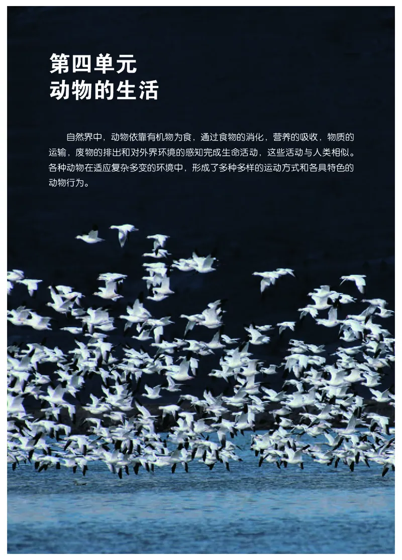 冀少版8年级生物上册高清教材_4-教培资料-26年最新资料-同步更新_初中高中教资_03科三专项（进去保存报考的学科即可）_02科三专项（笔记真题思维导图教学设计版本二）