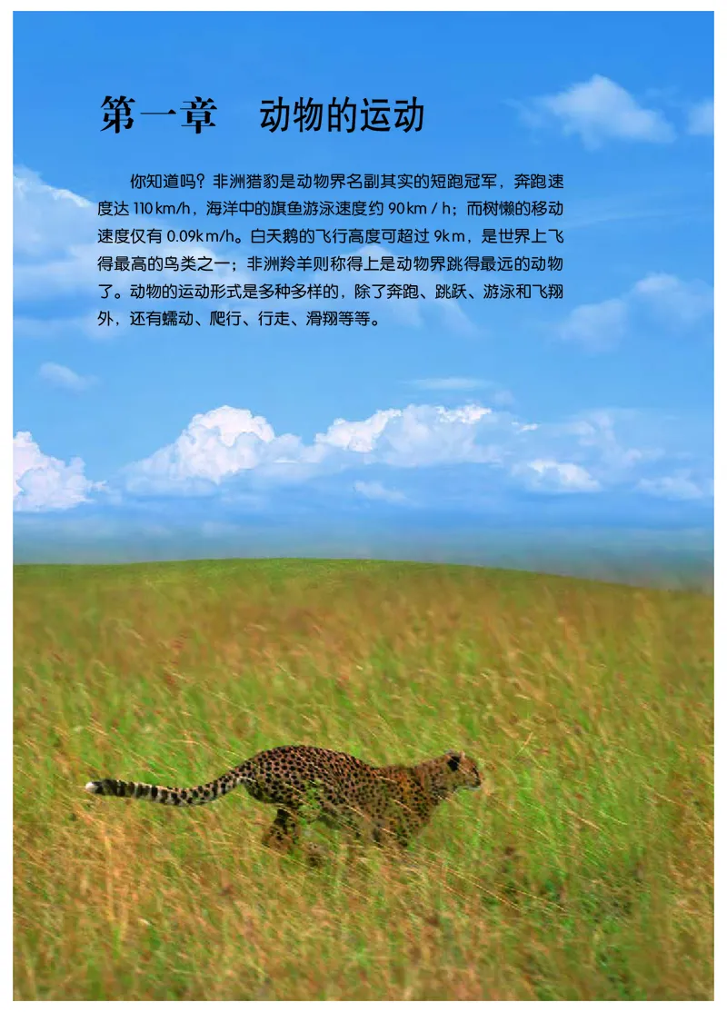 冀少版8年级生物上册高清教材_4-教培资料-26年最新资料-同步更新_初中高中教资_03科三专项（进去保存报考的学科即可）_02科三专项（笔记真题思维导图教学设计版本二）