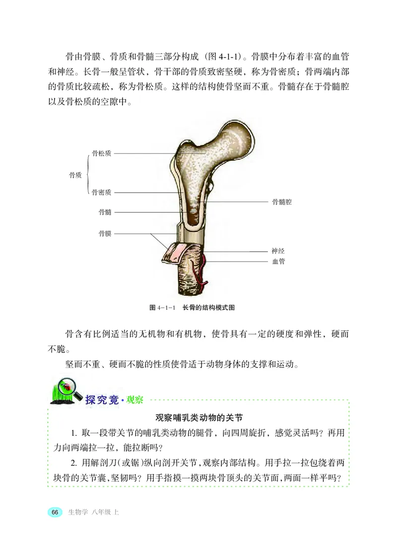 冀少版8年级生物上册高清教材_4-教培资料-26年最新资料-同步更新_初中高中教资_03科三专项（进去保存报考的学科即可）_02科三专项（笔记真题思维导图教学设计版本二）