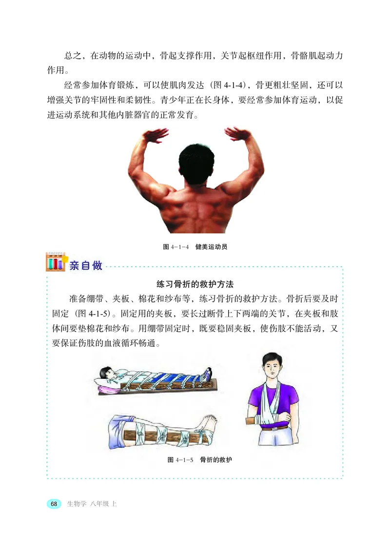 冀少版8年级生物上册高清教材_4-教培资料-26年最新资料-同步更新_初中高中教资_03科三专项（进去保存报考的学科即可）_02科三专项（笔记真题思维导图教学设计版本二）