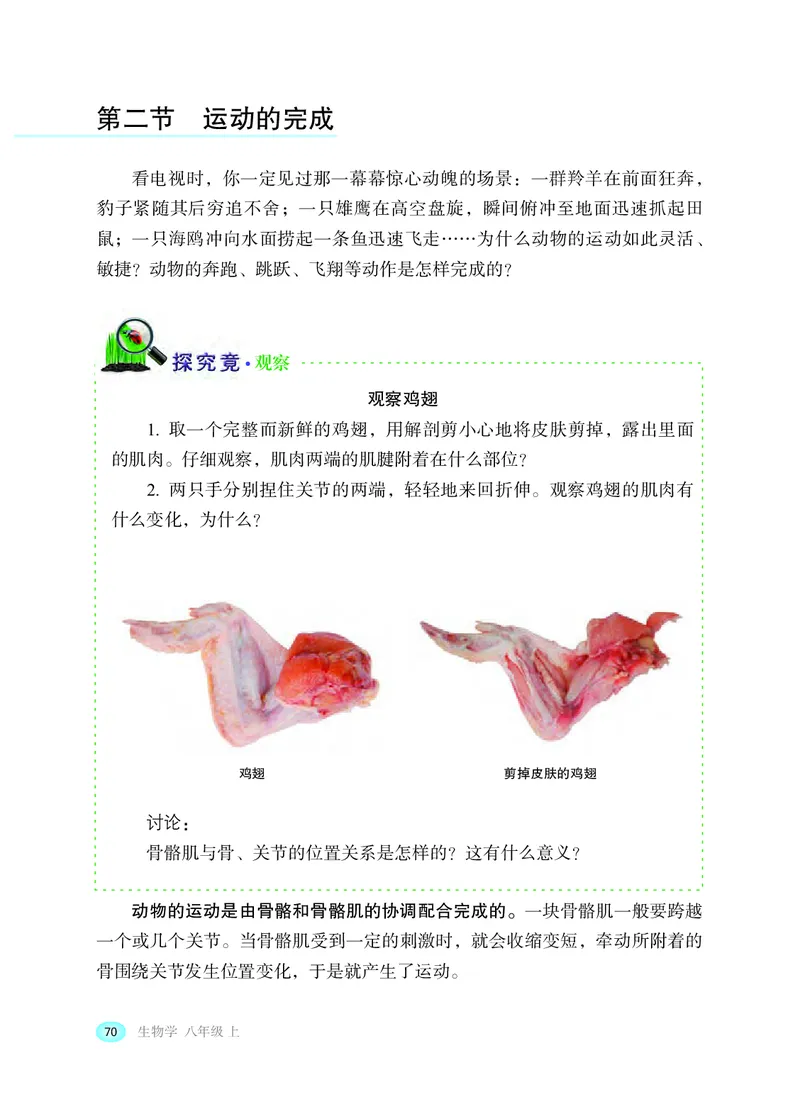 冀少版8年级生物上册高清教材_4-教培资料-26年最新资料-同步更新_初中高中教资_03科三专项（进去保存报考的学科即可）_02科三专项（笔记真题思维导图教学设计版本二）