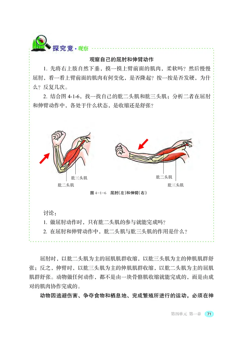 冀少版8年级生物上册高清教材_4-教培资料-26年最新资料-同步更新_初中高中教资_03科三专项（进去保存报考的学科即可）_02科三专项（笔记真题思维导图教学设计版本二）