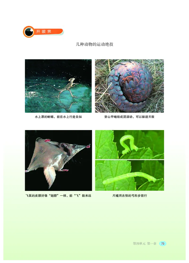 冀少版8年级生物上册高清教材_4-教培资料-26年最新资料-同步更新_初中高中教资_03科三专项（进去保存报考的学科即可）_02科三专项（笔记真题思维导图教学设计版本二）