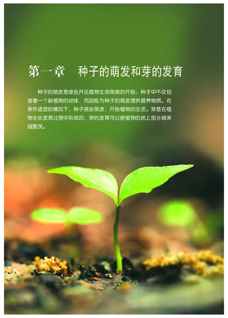 冀少版8年级生物上册高清教材_4-教培资料-26年最新资料-同步更新_初中高中教资_03科三专项（进去保存报考的学科即可）_02科三专项（笔记真题思维导图教学设计版本二）