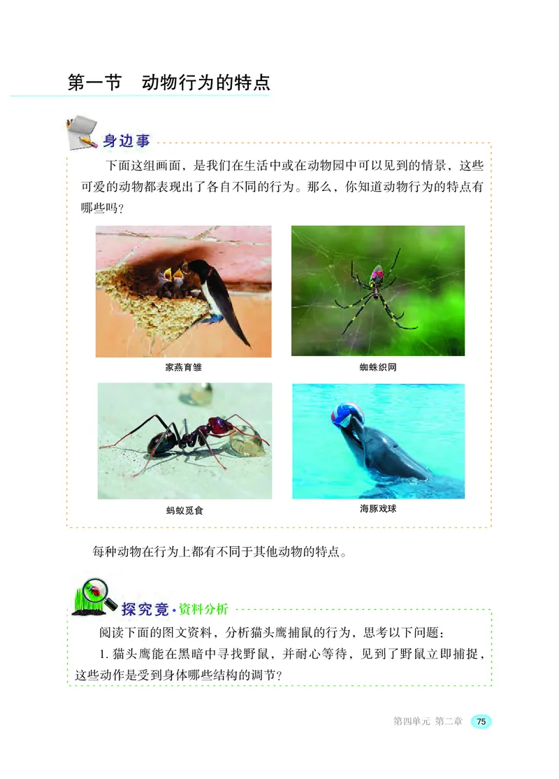 冀少版8年级生物上册高清教材_4-教培资料-26年最新资料-同步更新_初中高中教资_03科三专项（进去保存报考的学科即可）_02科三专项（笔记真题思维导图教学设计版本二）