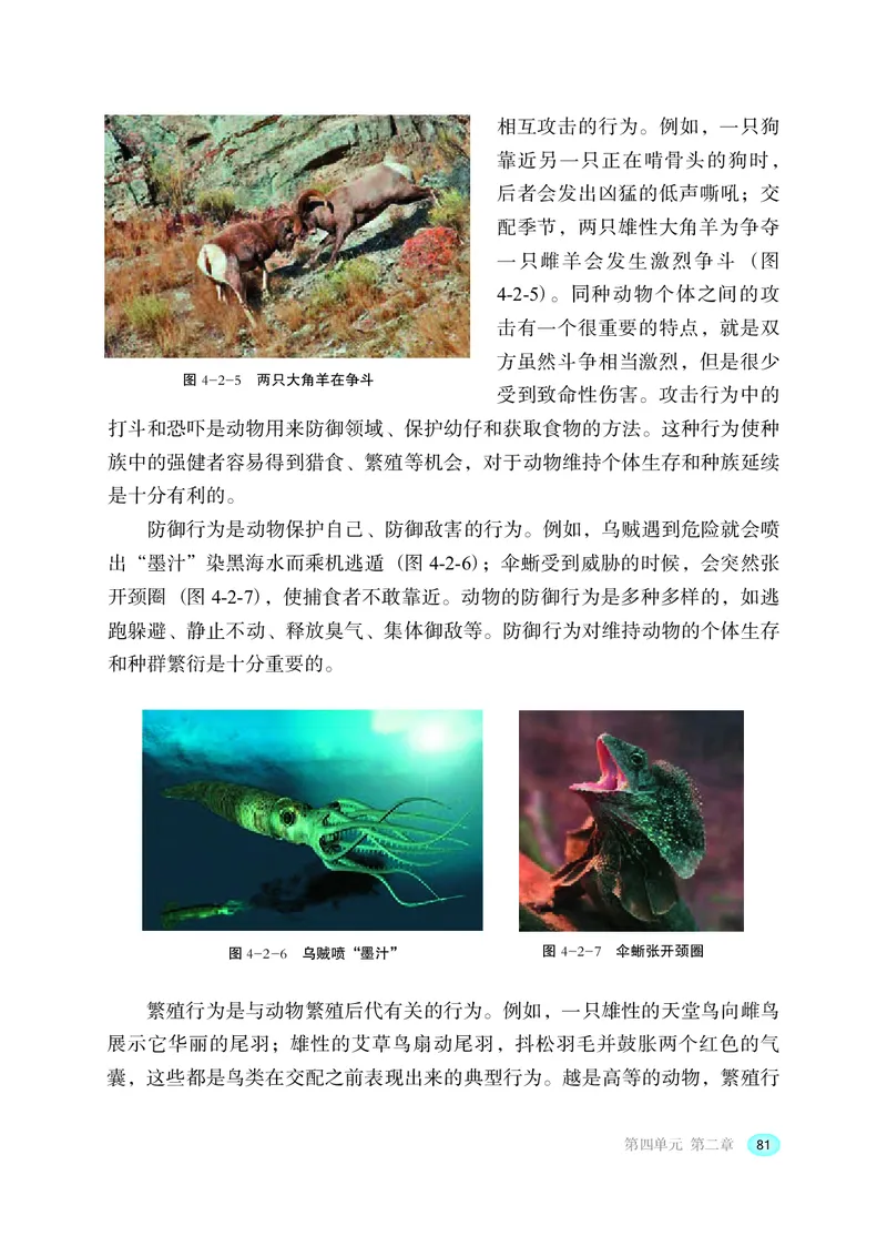 冀少版8年级生物上册高清教材_4-教培资料-26年最新资料-同步更新_初中高中教资_03科三专项（进去保存报考的学科即可）_02科三专项（笔记真题思维导图教学设计版本二）