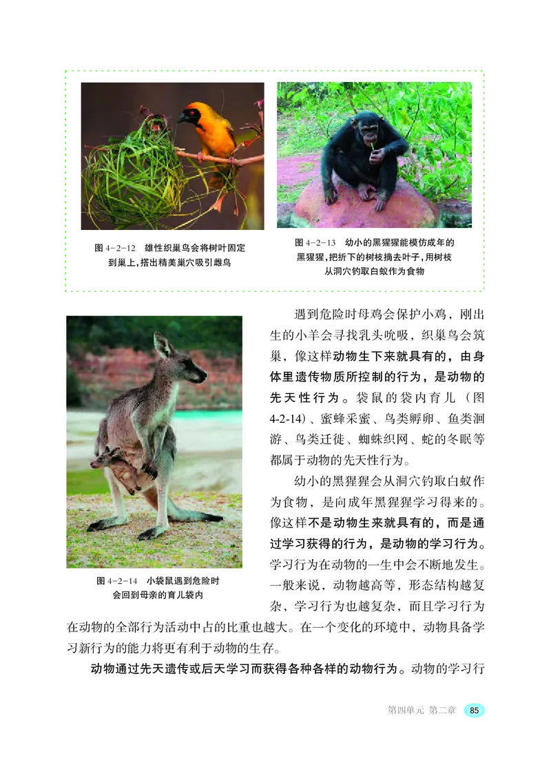 冀少版8年级生物上册高清教材_4-教培资料-26年最新资料-同步更新_初中高中教资_03科三专项（进去保存报考的学科即可）_02科三专项（笔记真题思维导图教学设计版本二）