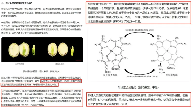 24行测套题1（言语+数量）_2026考公资料_花生十三合集_2024+2023年资料_套题班2024上半年花生飞扬省考套题冲刺班_电子讲义_课件PPT