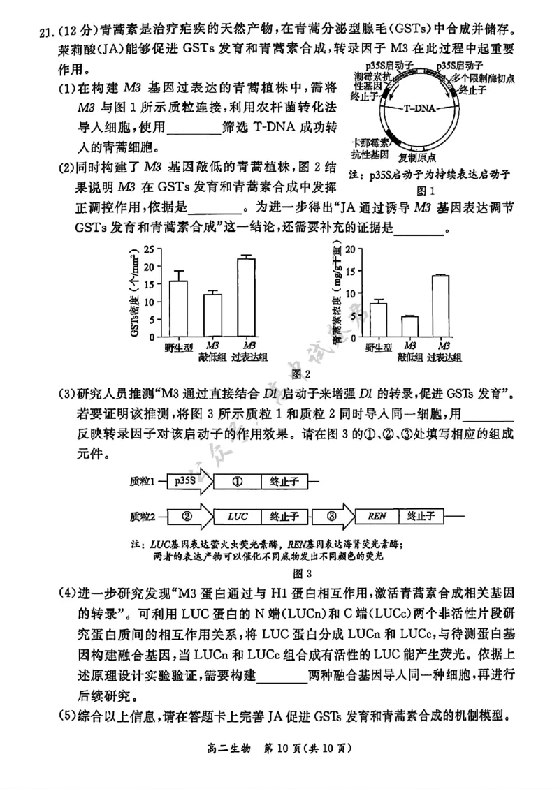 北京市东城区2024&mdash;2025学年高二下学期期末考试生物试题（含答案）_2025年7月_250728北京市东城区2024-2025学年高二下学期期末考试（全科）