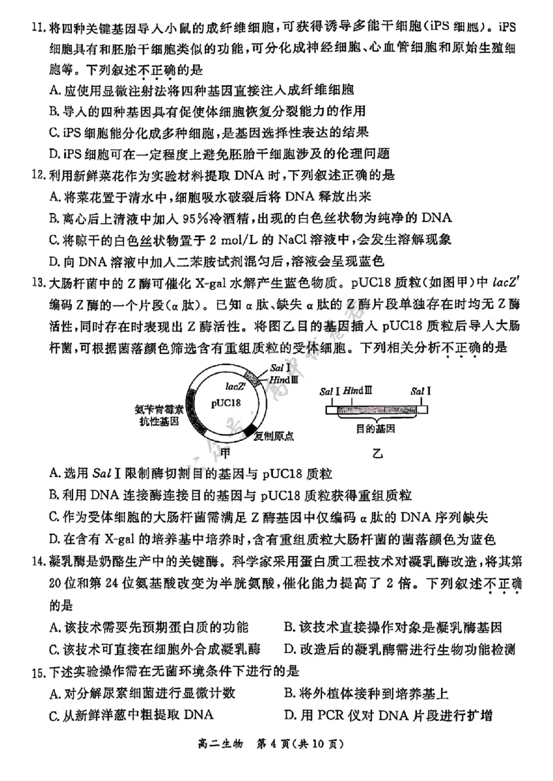 北京市东城区2024&mdash;2025学年高二下学期期末考试生物试题（含答案）_2025年7月_250728北京市东城区2024-2025学年高二下学期期末考试（全科）