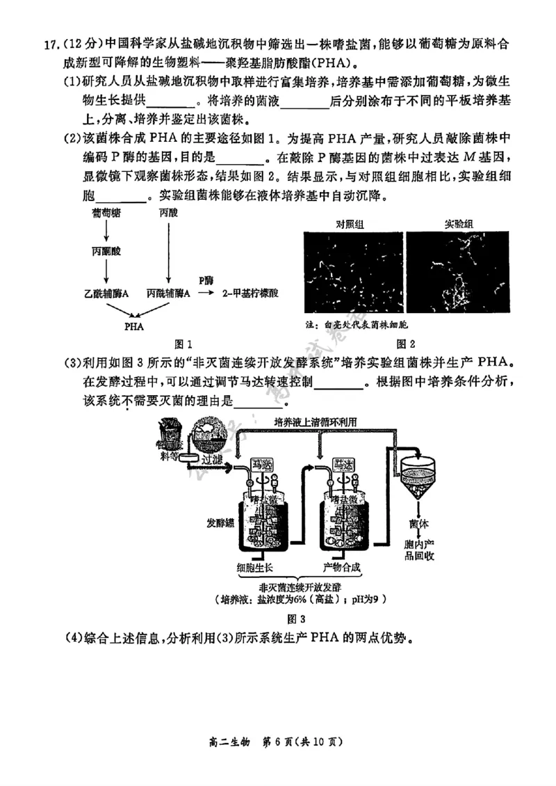 北京市东城区2024&mdash;2025学年高二下学期期末考试生物试题（含答案）_2025年7月_250728北京市东城区2024-2025学年高二下学期期末考试（全科）