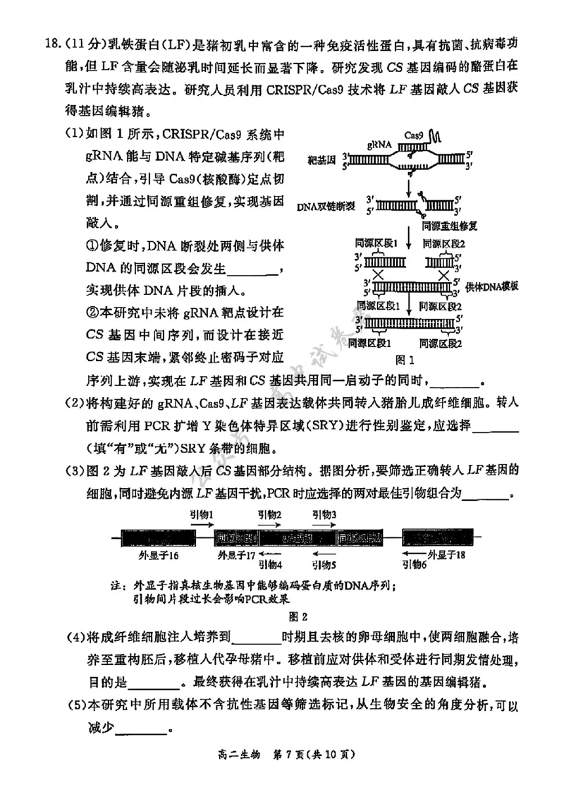 北京市东城区2024&mdash;2025学年高二下学期期末考试生物试题（含答案）_2025年7月_250728北京市东城区2024-2025学年高二下学期期末考试（全科）