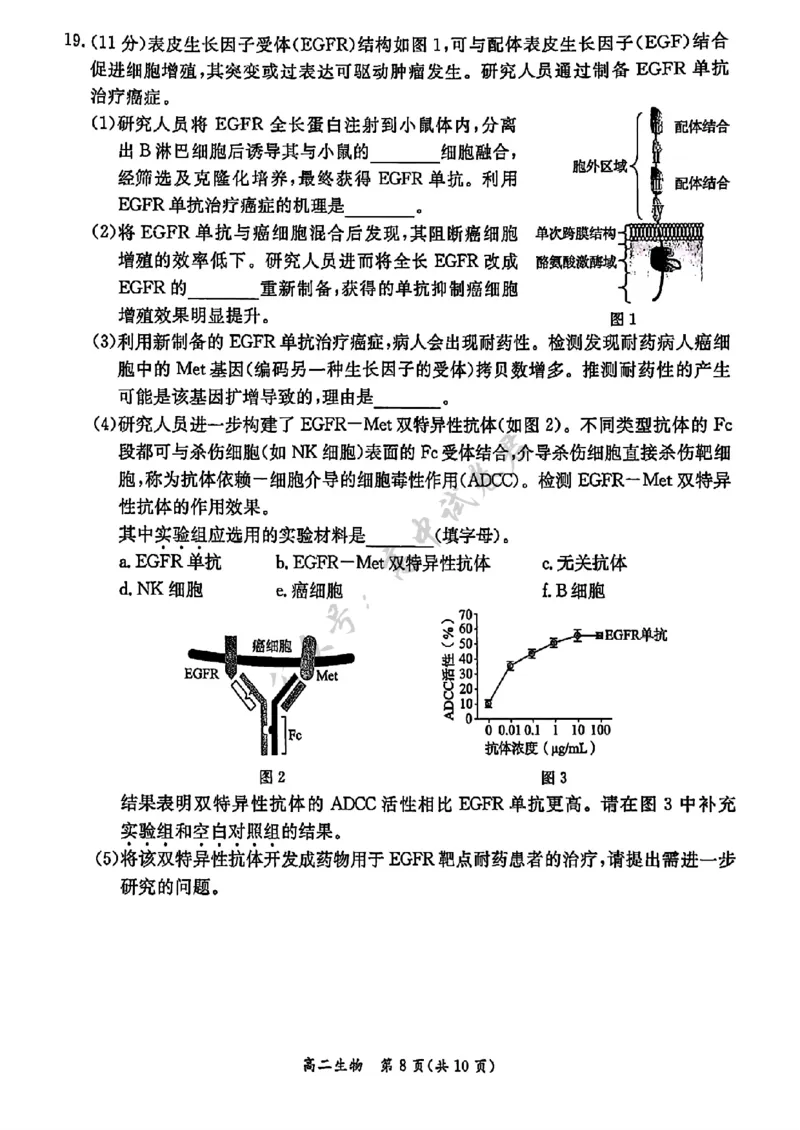 北京市东城区2024&mdash;2025学年高二下学期期末考试生物试题（含答案）_2025年7月_250728北京市东城区2024-2025学年高二下学期期末考试（全科）