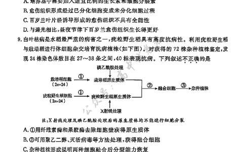北京市东城区2024&mdash;2025学年高二下学期期末考试生物试题（含答案）_2025年7月_250728北京市东城区2024-2025学年高二下学期期末考试（全科）