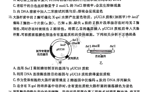 北京市东城区2024&mdash;2025学年高二下学期期末考试生物试题（含答案）_2025年7月_250728北京市东城区2024-2025学年高二下学期期末考试（全科）
