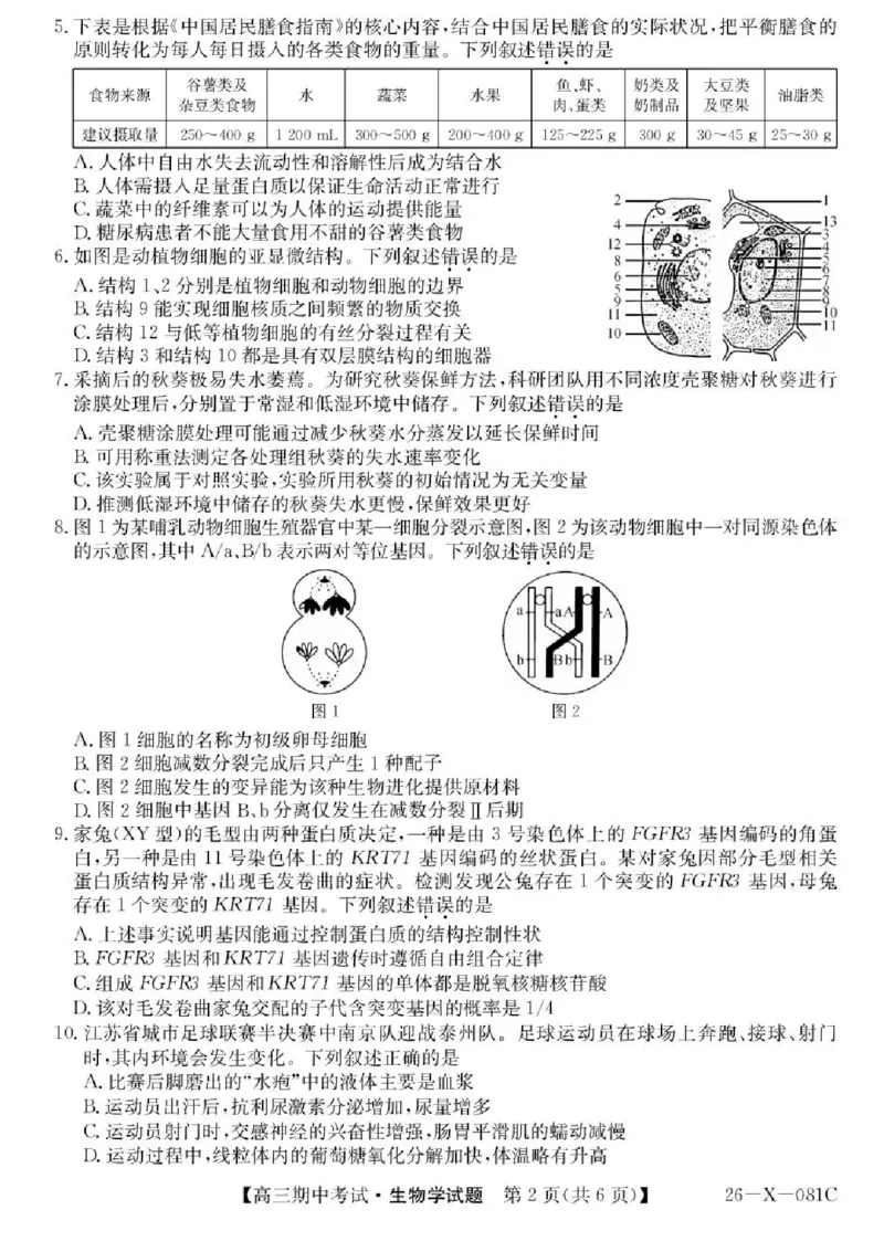 广东省部分学校2026届高三上学期11月期中联考生物试卷（含答案）_251106广东省部分学校2026届高三上学期11月期中联考（26-X-081C）