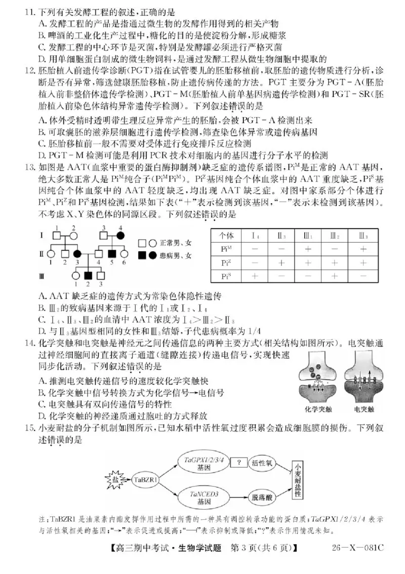 广东省部分学校2026届高三上学期11月期中联考生物试卷（含答案）_251106广东省部分学校2026届高三上学期11月期中联考（26-X-081C）