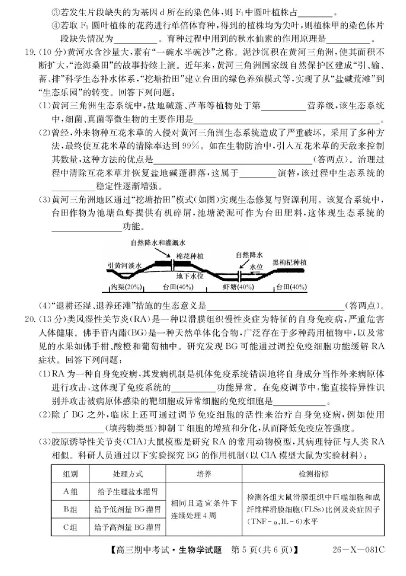 广东省部分学校2026届高三上学期11月期中联考生物试卷（含答案）_251106广东省部分学校2026届高三上学期11月期中联考（26-X-081C）