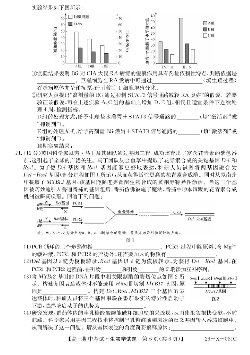 广东省部分学校2026届高三上学期11月期中联考生物试卷（含答案）_251106广东省部分学校2026届高三上学期11月期中联考（26-X-081C）