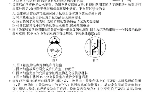 广东省部分学校2026届高三上学期11月期中联考生物试卷（含答案）_251106广东省部分学校2026届高三上学期11月期中联考（26-X-081C）