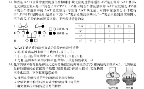 广东省部分学校2026届高三上学期11月期中联考生物试卷（含答案）_251106广东省部分学校2026届高三上学期11月期中联考（26-X-081C）