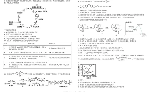 树德中学高2023级高三上学期11月阶段测试化学_251125四川省成都市树德中学高2023级高三上学期11月阶段测试（全科）