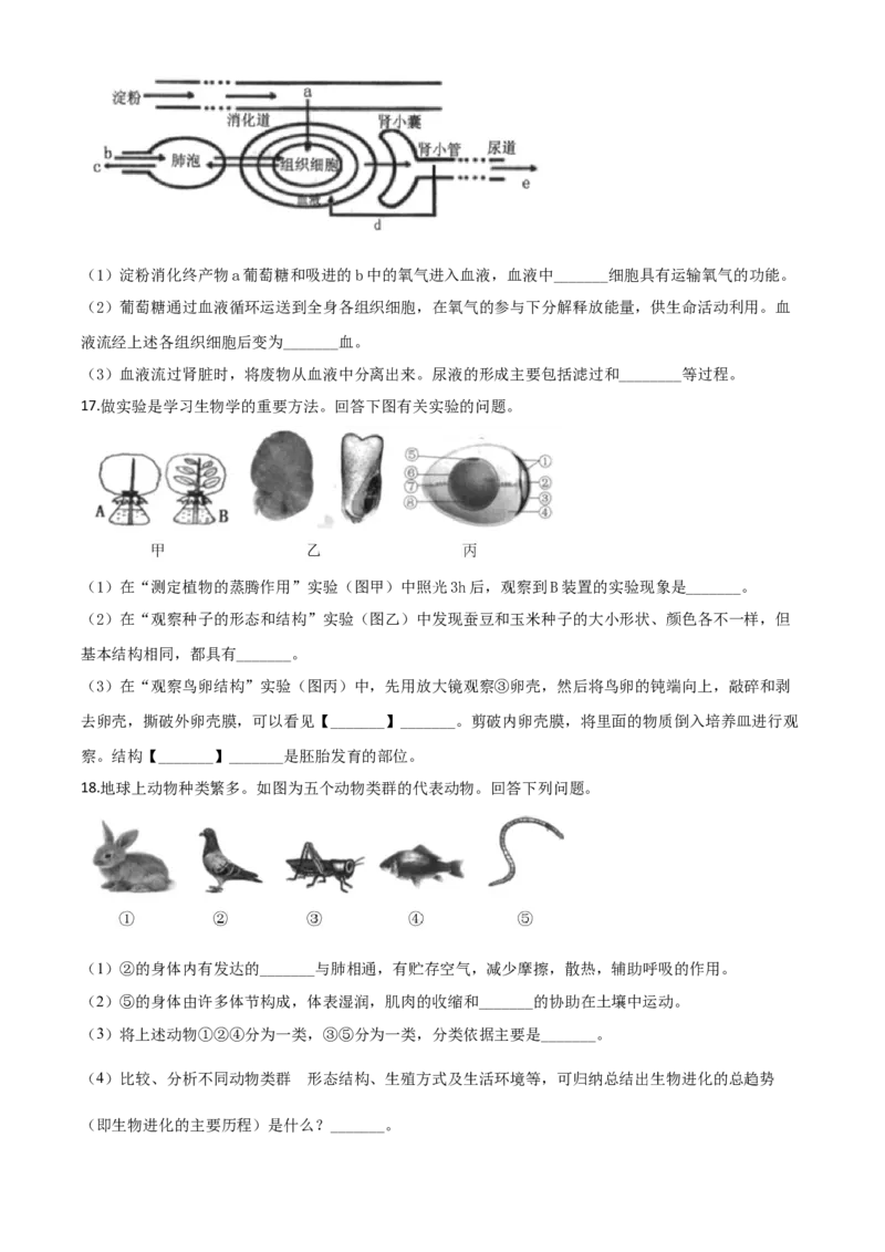 精品解析：2020年江苏省连云港市中考生物试题（原卷版）_中考真题_8.生物中考真题2015-2024年_2020生物真题74份_2020年中考真题精品解析生物（江苏连云港卷）精编word版