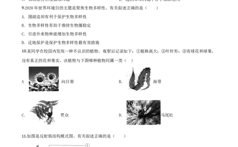 精品解析：2020年江苏省连云港市中考生物试题（原卷版）_中考真题_8.生物中考真题2015-2024年_2020生物真题74份_2020年中考真题精品解析生物（江苏连云港卷）精编word版