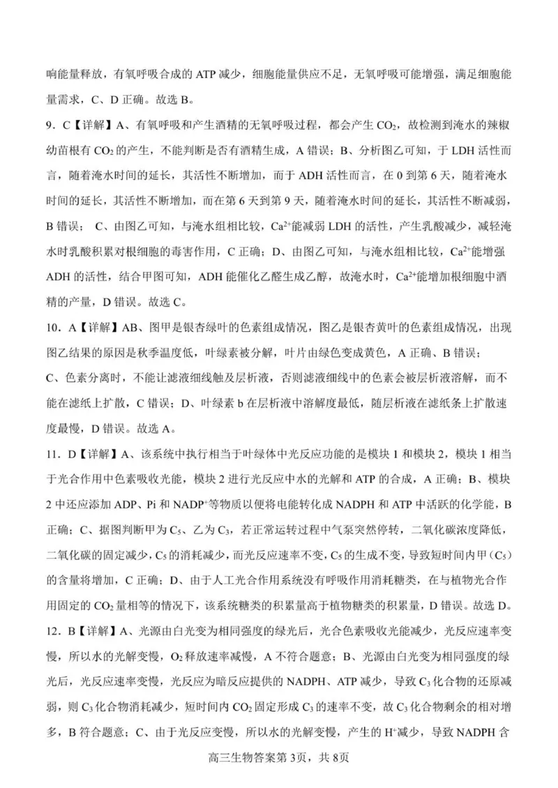 河南省濮阳外国语学校2025-2026学年高三上学期10月月考生物试题（含解析）_251102河南省濮阳外国语学校2025-2026学年高三上学期10月月考